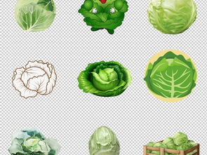 綠色健康生活 蔬菜圖庫素材大全與實(shí)用指南