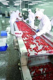 山東北大荒果蔬產(chǎn)品暢銷美歐等20多個國家和地區(qū)